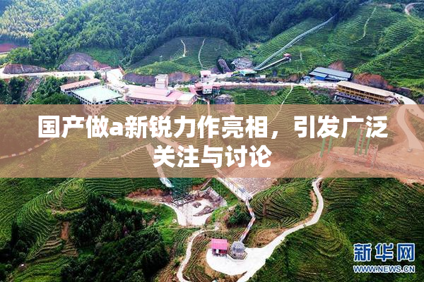 国产做a新锐力作亮相，引发广泛关注与讨论