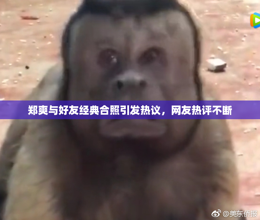 郑爽与好友经典合照引发热议，网友热评不断