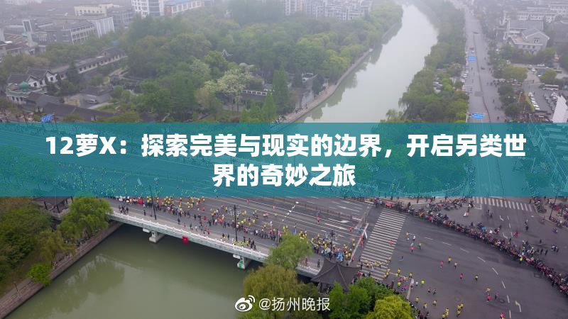 12萝X：探索完美与现实的边界，开启另类世界的奇妙之旅