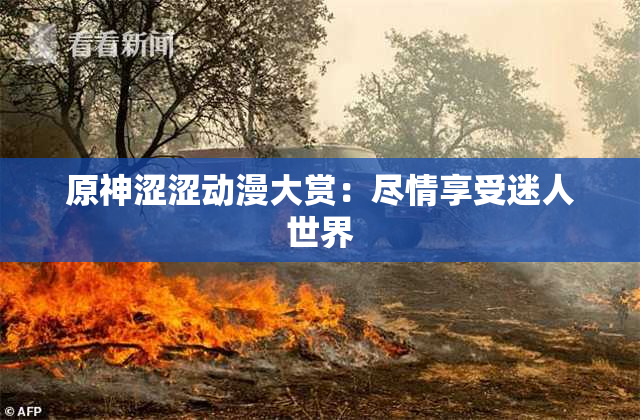原神涩涩动漫大赏：尽情享受迷人世界