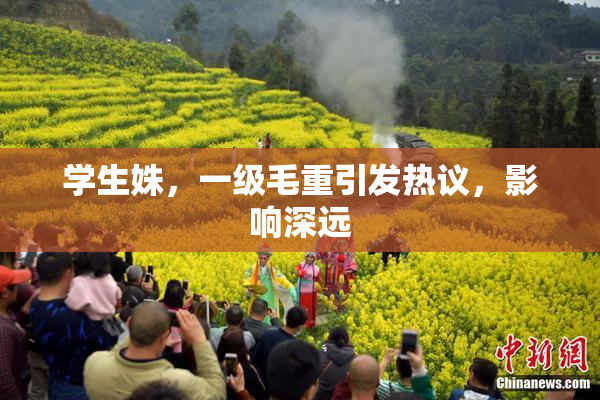 学生姝，一级毛重引发热议，影响深远