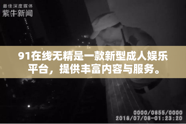 91在线无精是一款新型成人娱乐平台，提供丰富内容与服务。