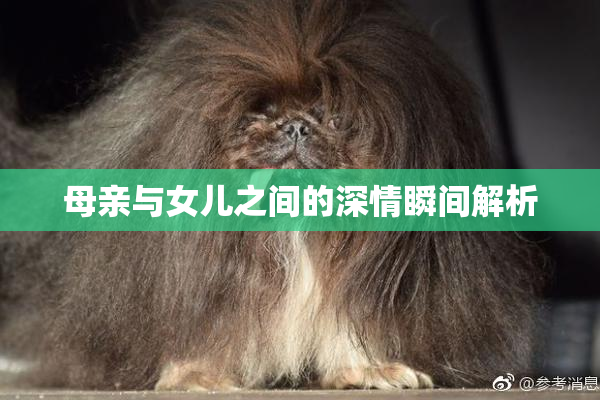 母亲与女儿之间的深情瞬间解析