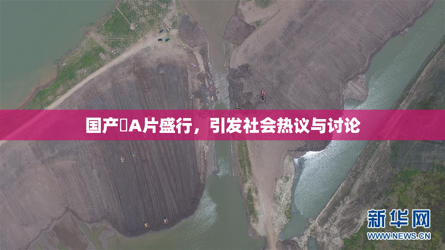 国产婬A片盛行，引发社会热议与讨论