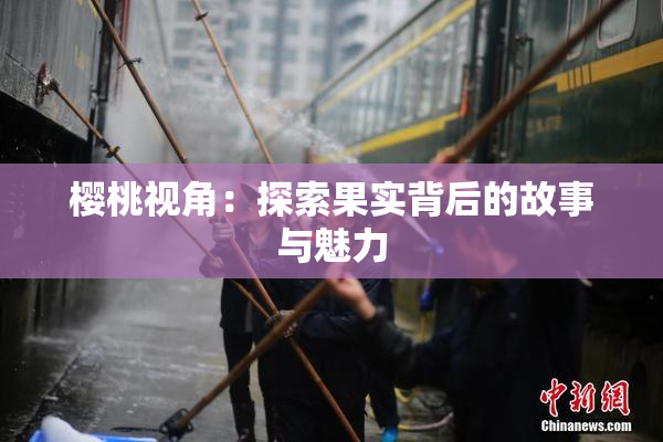 樱桃视角：探索果实背后的故事与魅力