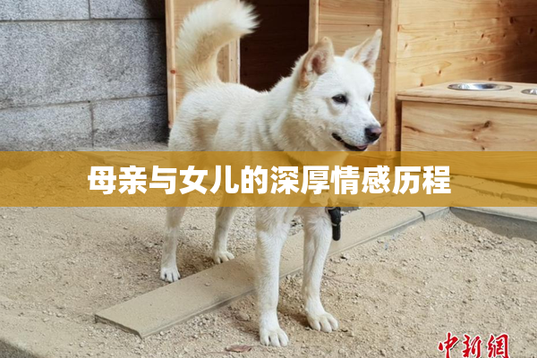 母亲与女儿的深厚情感历程
