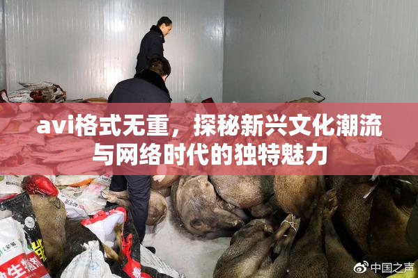 avi格式无重，探秘新兴文化潮流与网络时代的独特魅力