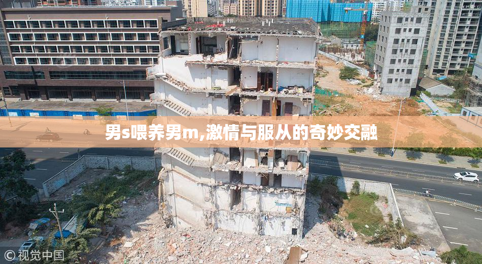 男s喂养男m,激情与服从的奇妙交融