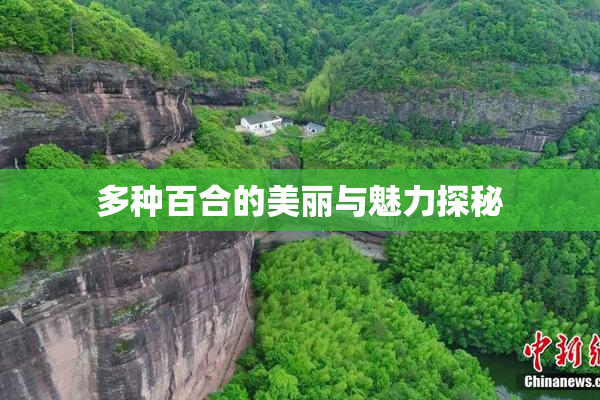 多种百合的美丽与魅力探秘