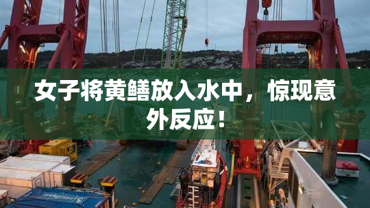 女子将黄鳝放入水中，惊现意外反应！