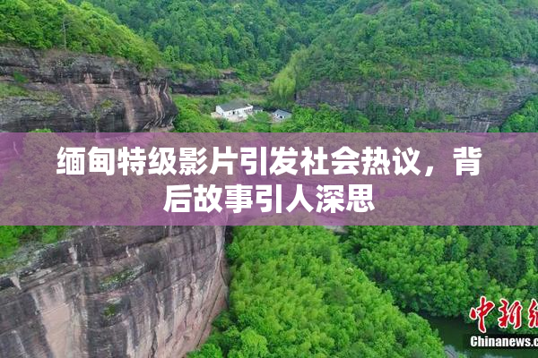 缅甸特级影片引发社会热议，背后故事引人深思