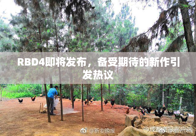 RBD4即将发布，备受期待的新作引发热议