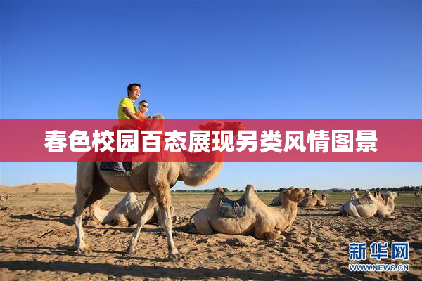 春色校园百态展现另类风情图景