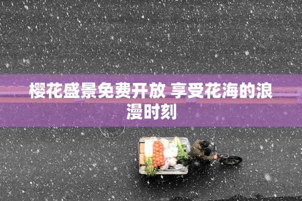樱花盛景免费开放 享受花海的浪漫时刻