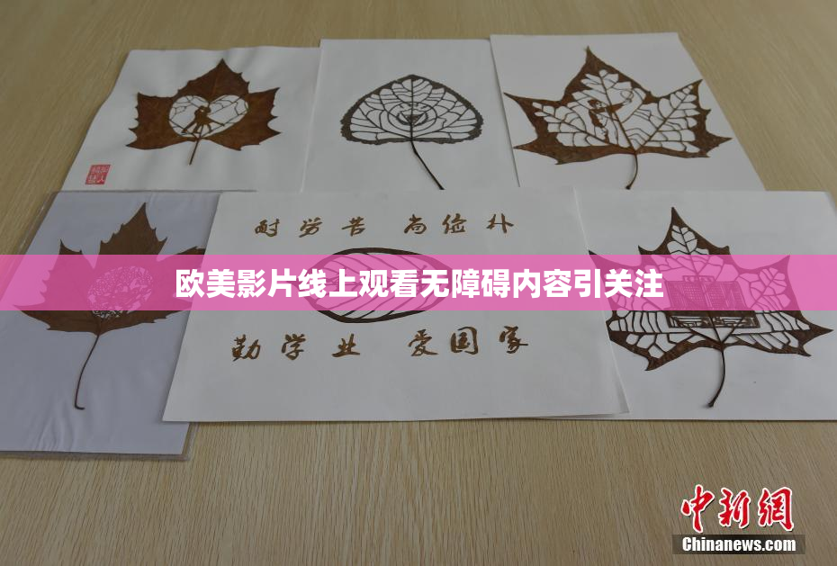 欧美影片线上观看无障碍内容引关注