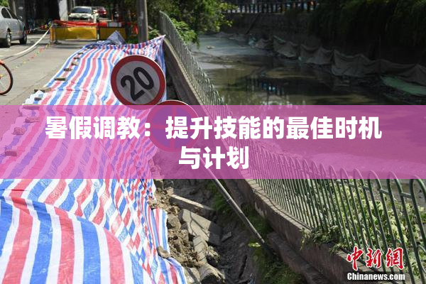 暑假调教：提升技能的最佳时机与计划
