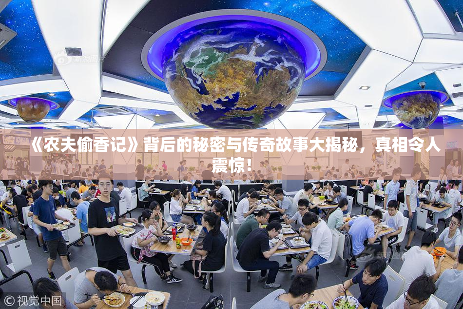 《农夫偷香记》背后的秘密与传奇故事大揭秘，真相令人震惊！