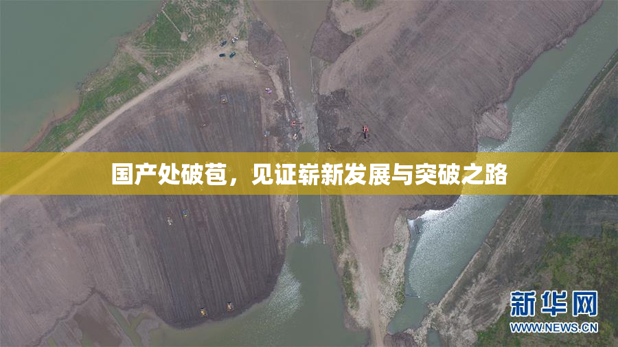 国产处破苞，见证崭新发展与突破之路