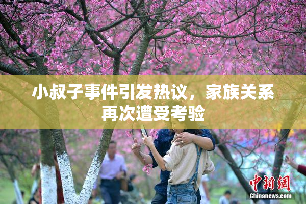 小叔子事件引发热议，家族关系再次遭受考验
