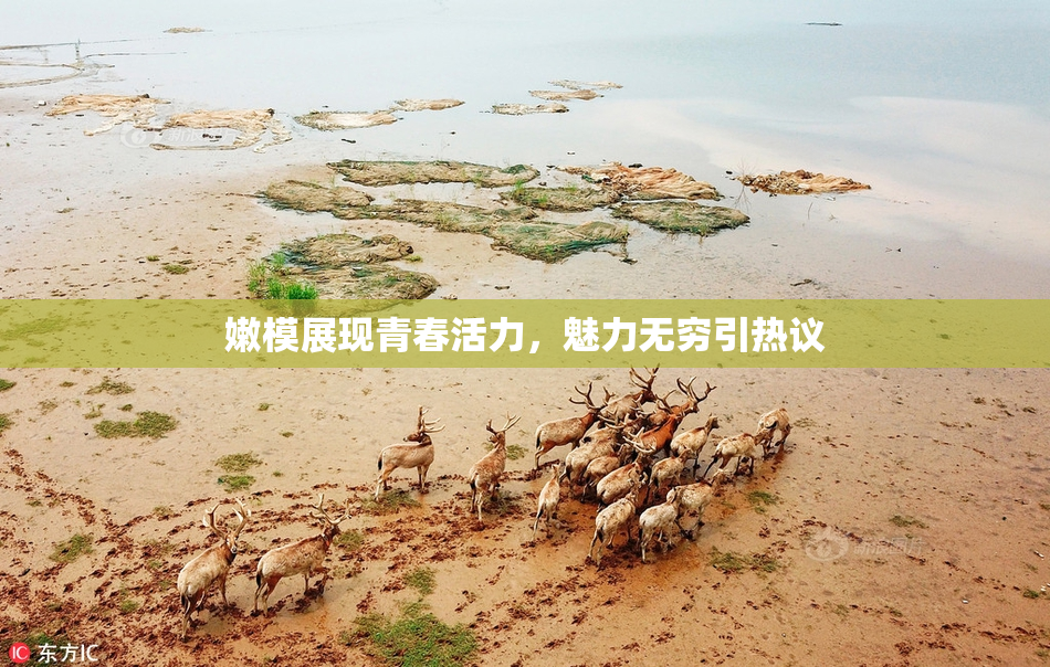 嫩模展现青春活力，魅力无穷引热议