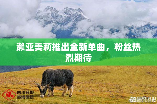 濑亚美莉推出全新单曲，粉丝热烈期待
