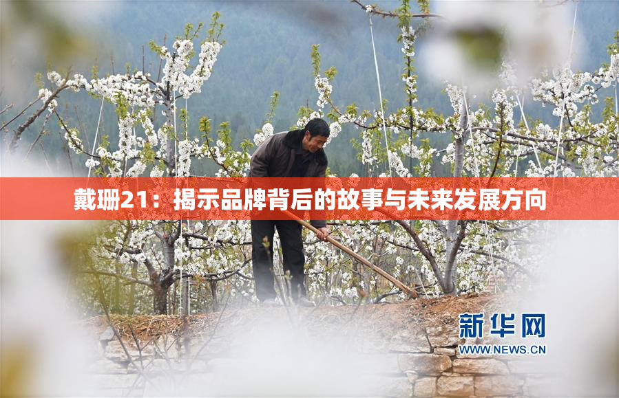 戴珊21：揭示品牌背后的故事与未来发展方向