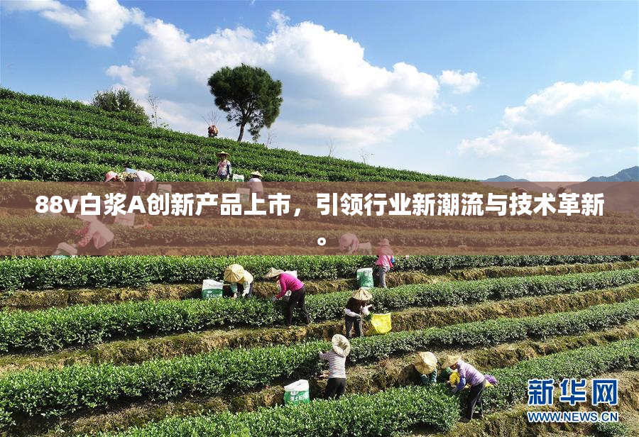 88v白浆A创新产品上市，引领行业新潮流与技术革新。
