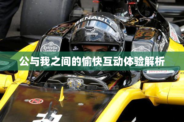 公与我之间的愉快互动体验解析