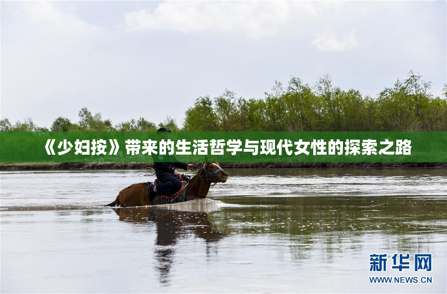 《少妇按》带来的生活哲学与现代女性的探索之路