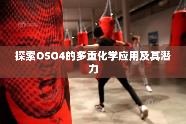 探索OSO4的多重化学应用及其潜力