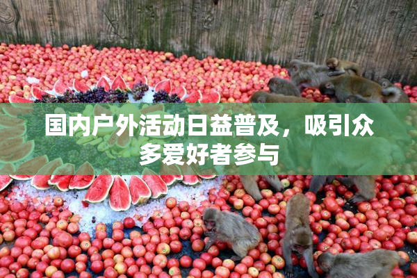 国内户外活动日益普及，吸引众多爱好者参与