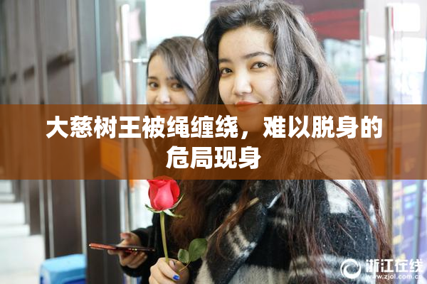 大慈树王被绳缠绕，难以脱身的危局现身