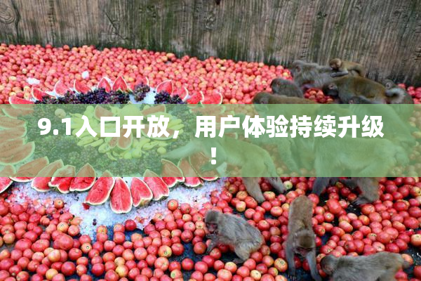 9.1入口开放，用户体验持续升级！