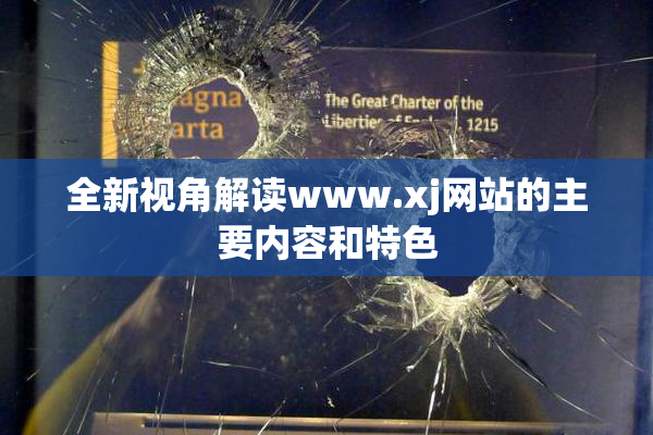 全新视角解读www.xj网站的主要内容和特色