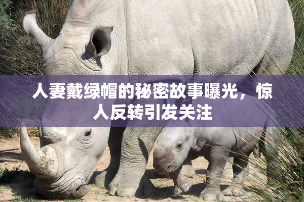 人妻戴绿帽的秘密故事曝光，惊人反转引发关注