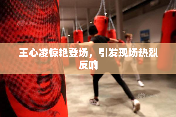 王心凌惊艳登场，引发现场热烈反响