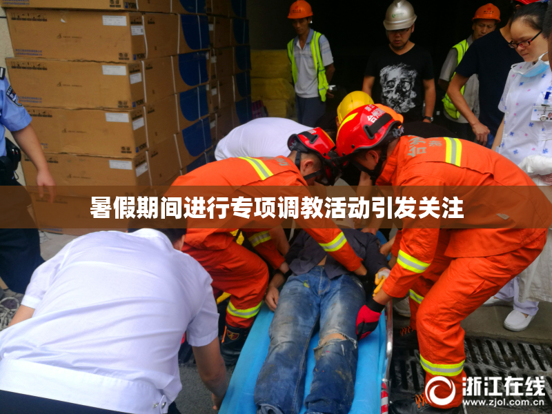 暑假期间进行专项调教活动引发关注