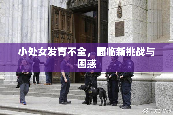 小处女发育不全，面临新挑战与困惑