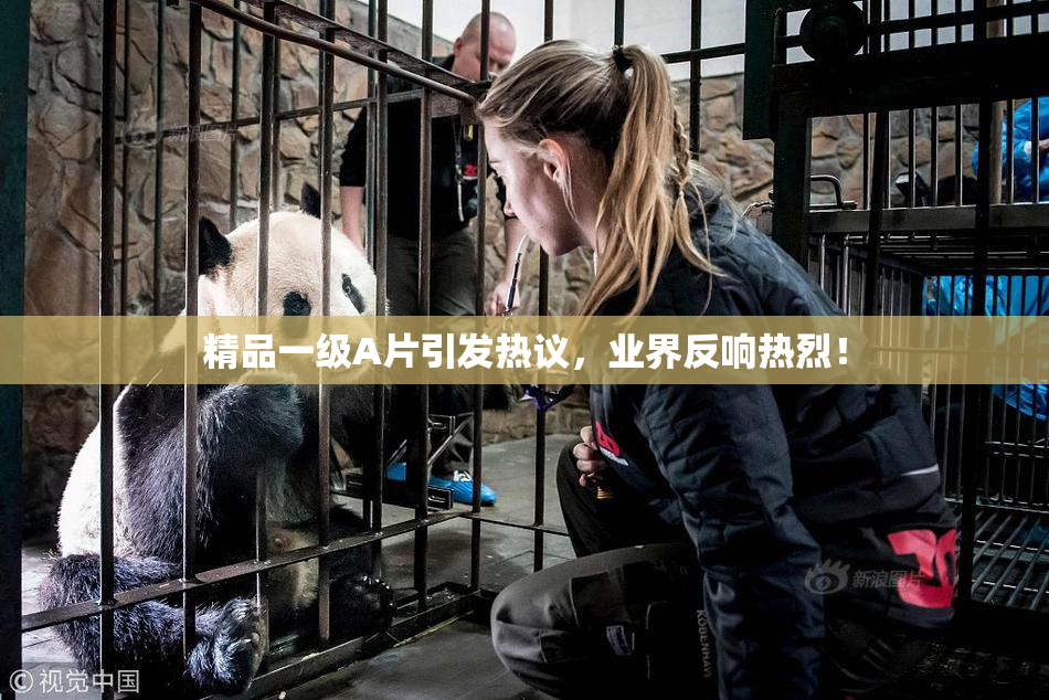 精品一级A片引发热议，业界反响热烈！