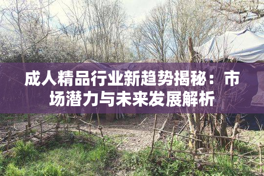 成人精品行业新趋势揭秘：市场潜力与未来发展解析