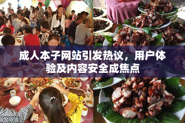 成人本子网站引发热议，用户体验及内容安全成焦点