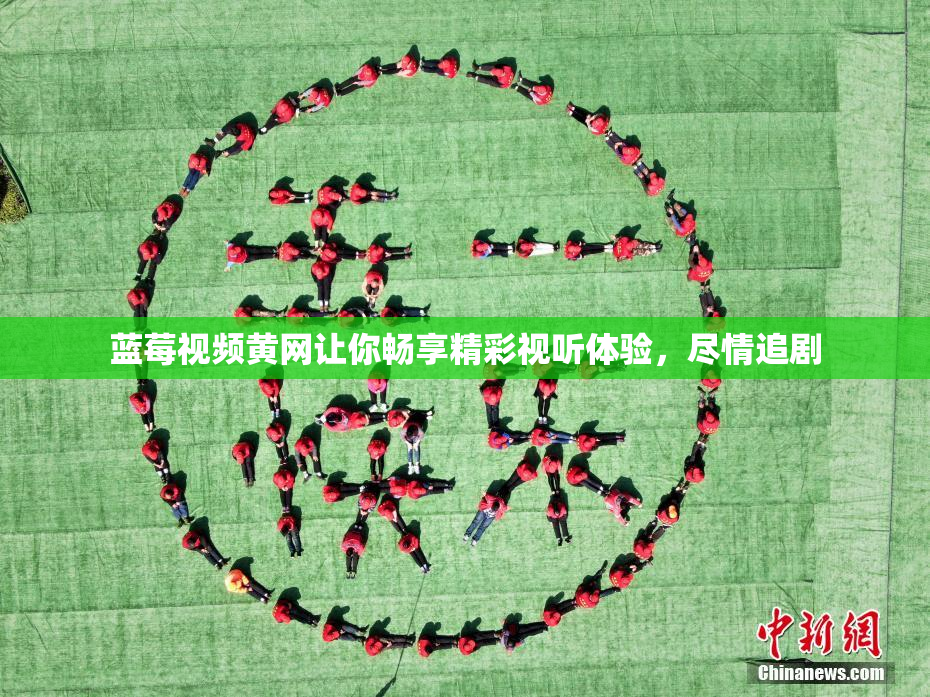 蓝莓视频黄网让你畅享精彩视听体验，尽情追剧