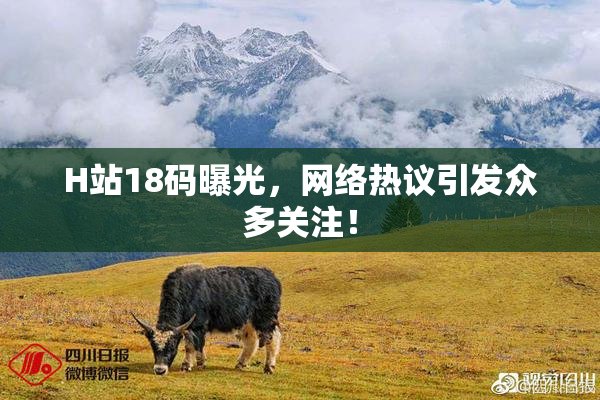 H站18码曝光，网络热议引发众多关注！