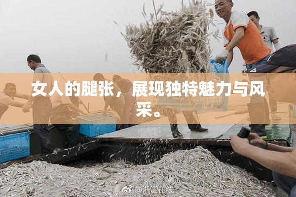 女人的腿张，展现独特魅力与风采。