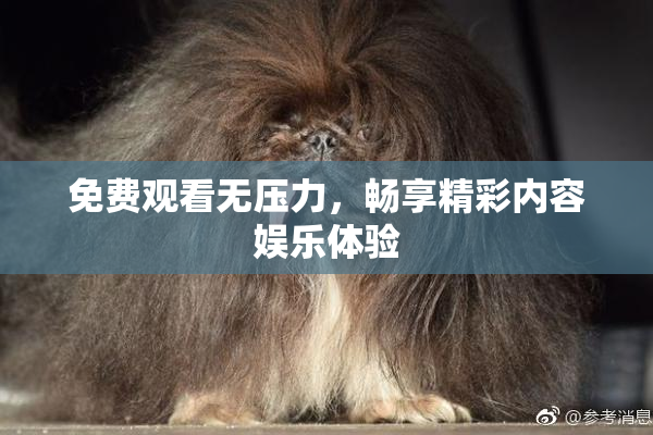免费观看无压力，畅享精彩内容娱乐体验