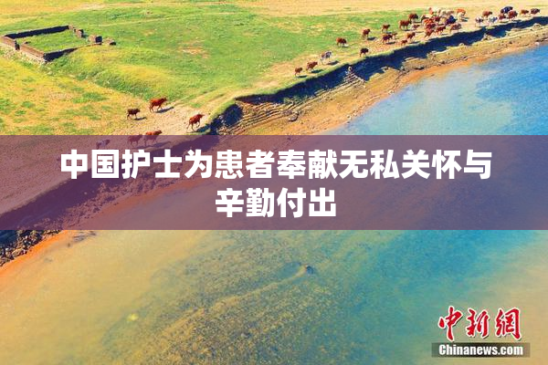 中国护士为患者奉献无私关怀与辛勤付出