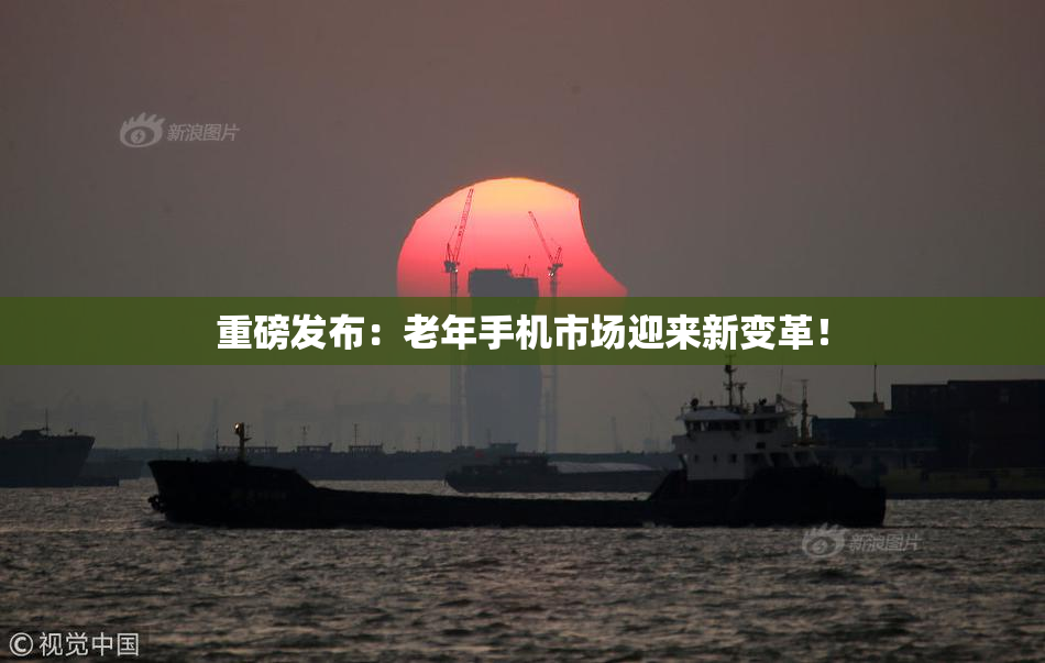 重磅发布：老年手机市场迎来新变革！