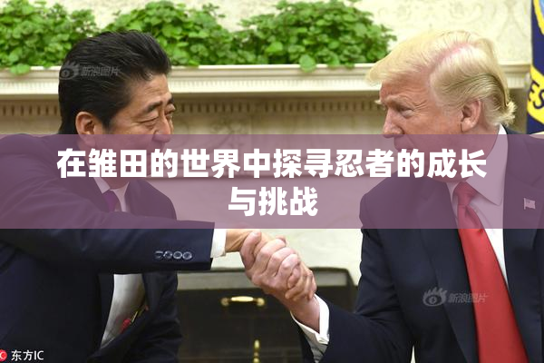 在雏田的世界中探寻忍者的成长与挑战