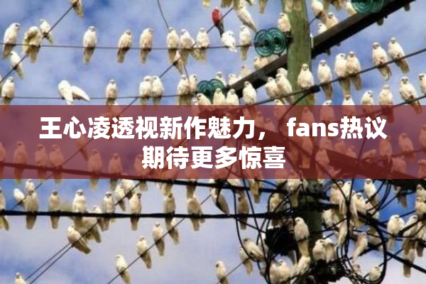 王心凌透视新作魅力， fans热议期待更多惊喜