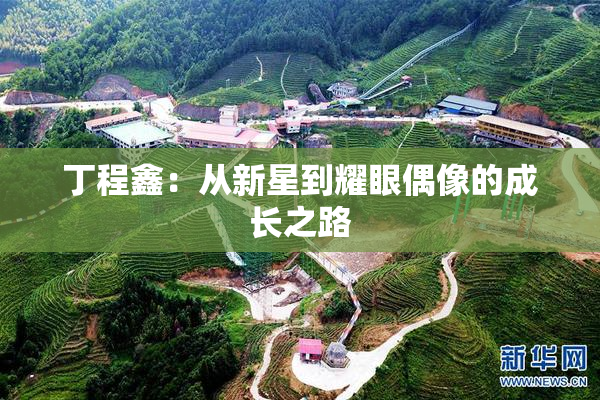 丁程鑫：从新星到耀眼偶像的成长之路